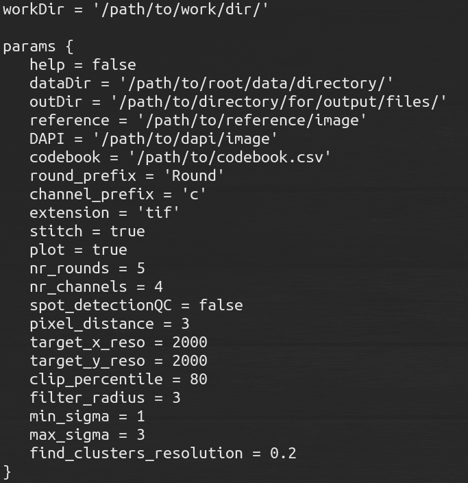 iss_config_example
