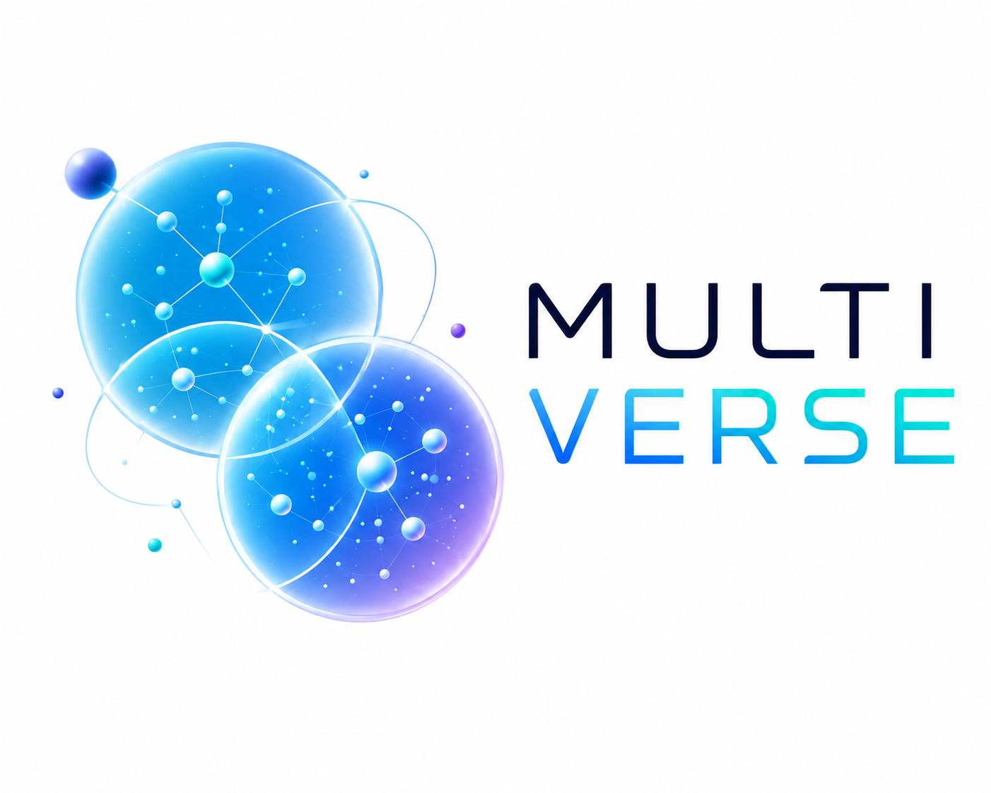 Multiverse